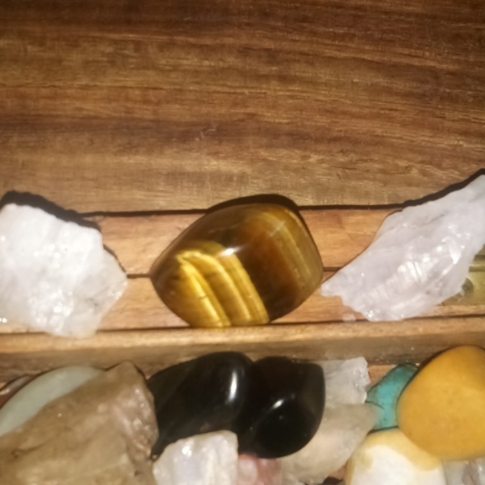 Tigers eye 👁️